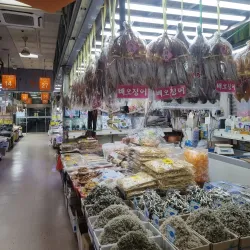 Jagalchi Fish Market - Busan