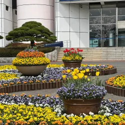 Changwon City Hall Plaza - Changwon
