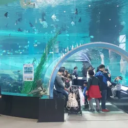 Changwon National Maritime Museum - Changwon