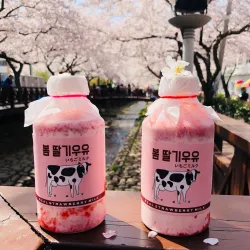 Jinhae Cherry Blossom Festival - Changwon