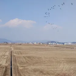 Junam Reservoir - Changwon