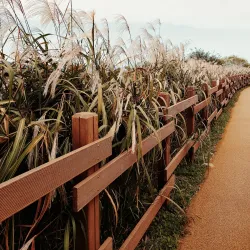 Junam Reservoir - Changwon