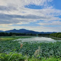 Junam Reservoir - Changwon