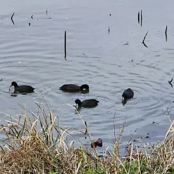 Junam Reservoir - Changwon