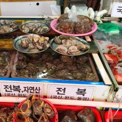 Masan Fish Market - Changwon