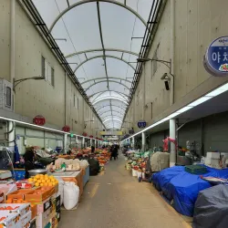 Masan Fish Market - Changwon