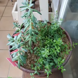 Seongsan-dong Cultural Street - Changwon