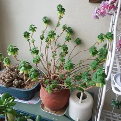 Seongsan-dong Cultural Street - Changwon