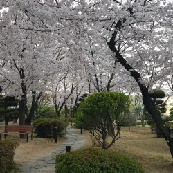 Seongsan-dong Cultural Street - Changwon