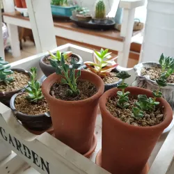 Seongsan-dong Cultural Street - Changwon