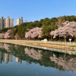 Yongji Park - Changwon