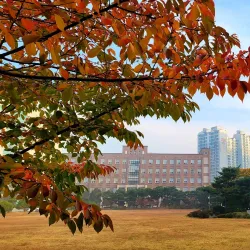 Dongnam Health College Arboretum - Cheonan