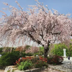 Gakwonsa Temple - Cheonan