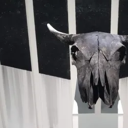 Cheongju Art Studio - Cheongju