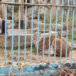 Cheongju Zoo - Cheongju