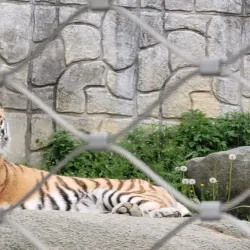 Cheongju Zoo - Cheongju