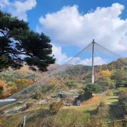 Cheongju Zoo - Cheongju