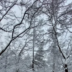 Uamsan Park - Cheongju