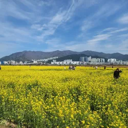 Daejeo Ecological Park - Chinhae