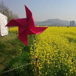 Daejeo Ecological Park - Chinhae
