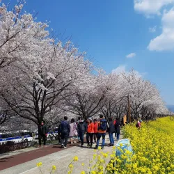 Daejeo Ecological Park - Chinhae