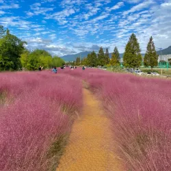 Daejeo Ecological Park - Chinhae