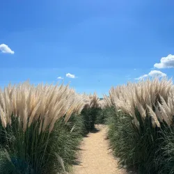 Daejeo Ecological Park - Chinhae