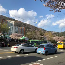 Gyeonghwa Station - Chinhae