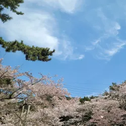 Jangboksan Sculpture Park - Chinhae