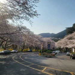 Jangboksan Sculpture Park - Chinhae