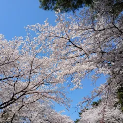 Jangboksan Sculpture Park - Chinhae