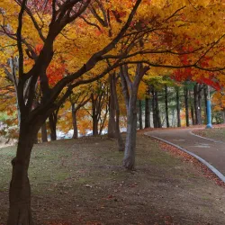 Jinhae Dream Park - Chinhae