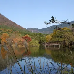 Jinhae Dream Park - Chinhae