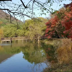 Jinhae Dream Park - Chinhae