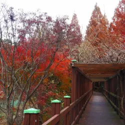 Jinhae Dream Park - Chinhae