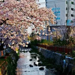Jinhae Fort - Chinhae