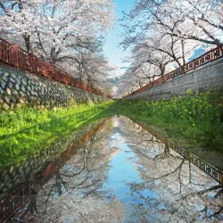 Jinhae Fort - Chinhae