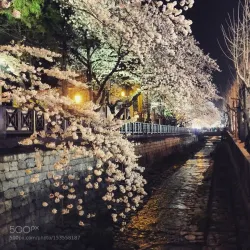 Jinhae Fort - Chinhae