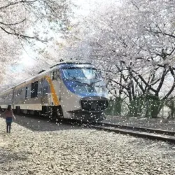 Jinhae Fort - Chinhae