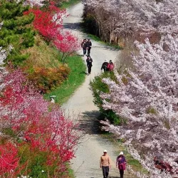 Jinhae Fort - Chinhae