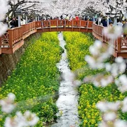 Jinhae Fort - Chinhae