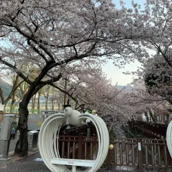 Jinhae Gunhangje Festival (Cherry Blossom Festival) - Chinhae