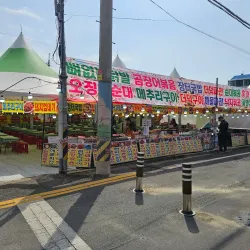 Yeojwacheon Stream - Chinhae