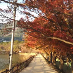 Yeojwacheon Stream - Chinhae