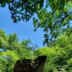 Cheongpyeongsa Temple - Chuncheon
