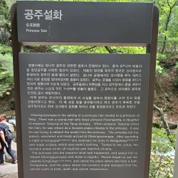 Cheongpyeongsa Temple - Chuncheon