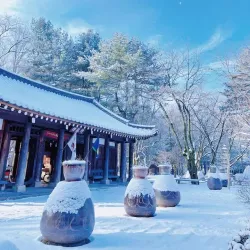 Nami Island - Chuncheon