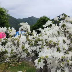Chungju Lake (Chungju Dam) - Chungju