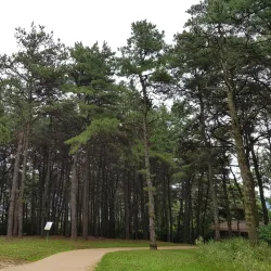 Tangeumdae Terrace - Chungju