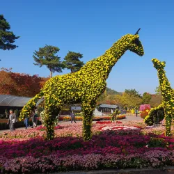 Gyeongsan Arboretum - Dae-dong Gyeongsan-si